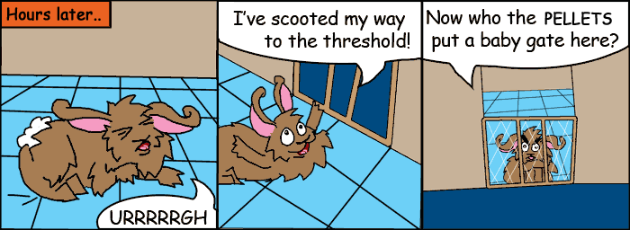 Today's Comic