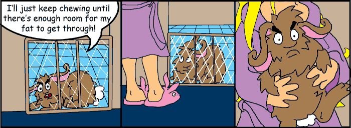 Today's Comic