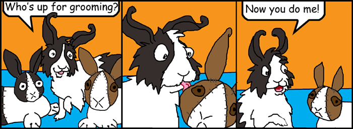 Today's Comic
