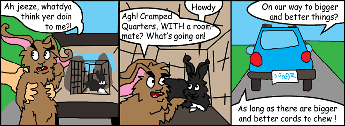 Today's Comic