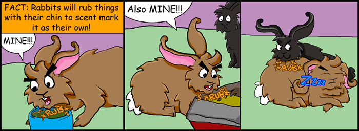 Today's Comic