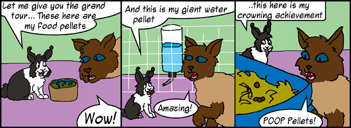 Today's Comic